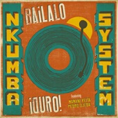 Nkumba System - Este Bolsillo
