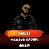 MENSUR KADRIU - Malli (feat. Zeid)