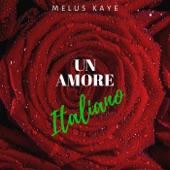 Un Amore Italiano artwork