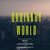 Ordinary World - Single