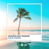 Calm Down (feat. Friends & I) - Single