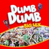 Dumb Dumb - Single