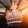 Netinho do Forró, Vol. 20 (Ao Vivo)