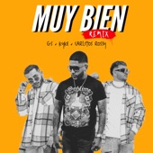 Muy Bien (Remix) artwork