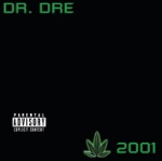 Dr. Dre - forgot about dre