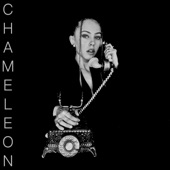 Chameleon artwork