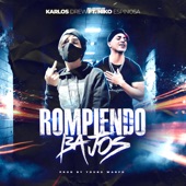 Rompiendo Bajos (feat. NIKO ESPINOSA & Young Warfo) artwork