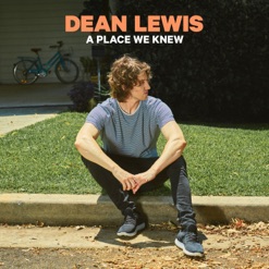 A PLACE WE KNEW cover art