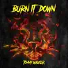 Burn It Down - Single album lyrics, reviews, download