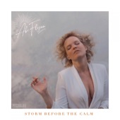 Storm Before the Calm (Radio Edit) artwork