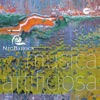 NeoBarock - Sonate A-Moll für Violine und Basso continuo: II. Presto - Finale