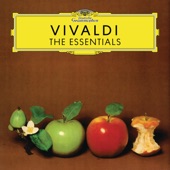 Concerto For Violin And Strings in E Minor RV 281: 1. Allegro artwork