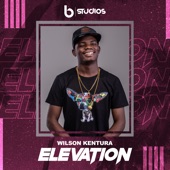 Elevation artwork