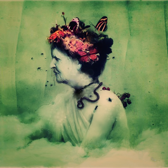 Cover artwork for Icon