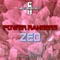 Power Rangers Zeo (feat. Nah Tony) - Chris Allen Hess lyrics