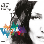 Mozaik - Zeynep Bakşi Karatağ