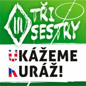 Ukážeme kuráž! artwork