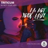 I'm Not Your Lady - Single