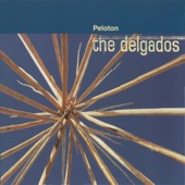 The Delgados - Everything Goes Around the Water
