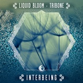 Interbeing (Tribal Tech Mix) artwork