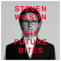 Steven Wilson - MAN OF THE PEOPLE artwork