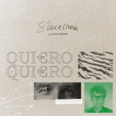 Quiero y quiero (con Ivan Ferreiro) [with Iván Ferreiro] artwork