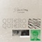 Quiero y quiero (con Ivan Ferreiro) [with Iván Ferreiro] artwork