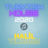 Turkish House 2020 artwork