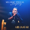 Selamat Tinggal Sayang - Single