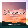 Shine - Single