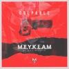 Culpable - Single