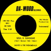 Harvey & The Phenomenals - Soul and Sunshine