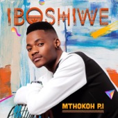 Iboshiwe artwork