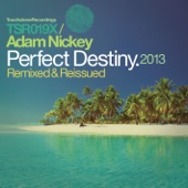 Perfect Destiny (Alexey Selin Remix) artwork
