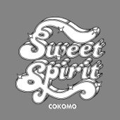 Sweet Spirit - My Poor Stupid Heart