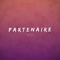 Partenaire - SOW lyrics