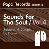 Papa Records Presents Sounds for the Soul, Vol. 4 (Selected & Compiled by Domu) - Domu
