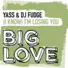 (I Know) I'm Losing You [Extended Mix] song lyrics