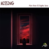 Missing artwork