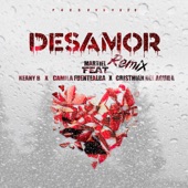 Desamor (feat. Camila Fuentealba, Keany B & Cristhian del Aguila) [Remix] artwork