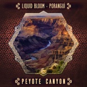 Peyote Canyon artwork
