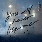 You will never lose me artwork