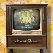 Picture Frame (feat. Miles Kane) artwork