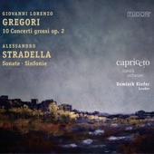 Cantata a 6 con i stromenti "Per il santissimo Natale" (Excerpts): No. 16, Sinfonia artwork
