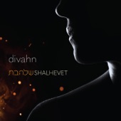 Divahn - Am Ne'emanay