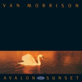 Van Morrison - These Are the Days