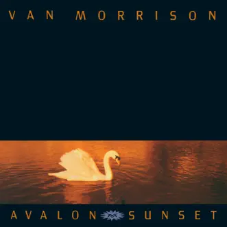 Avalon Sunset by Van Morrison album reviews, ratings, credits