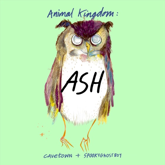 Cover artwork for Advice