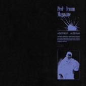 Peel Dream Magazine - Geodesic Dome