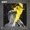 BRT - Say Yes